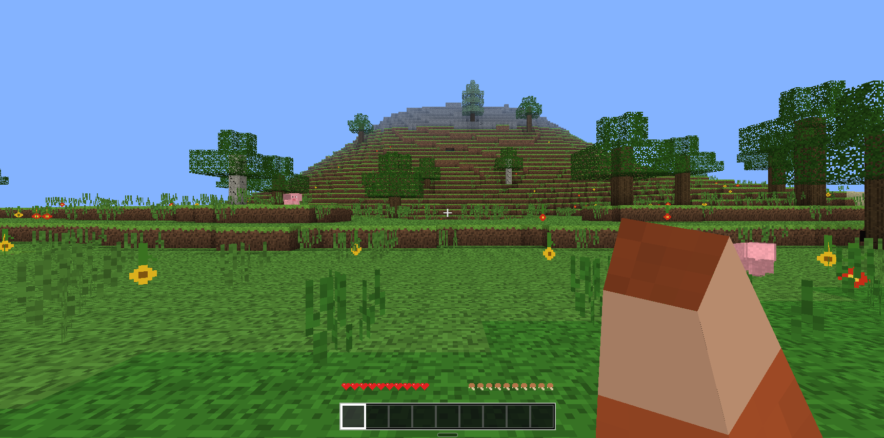 Kockasti Svijet (Minecraft clone)