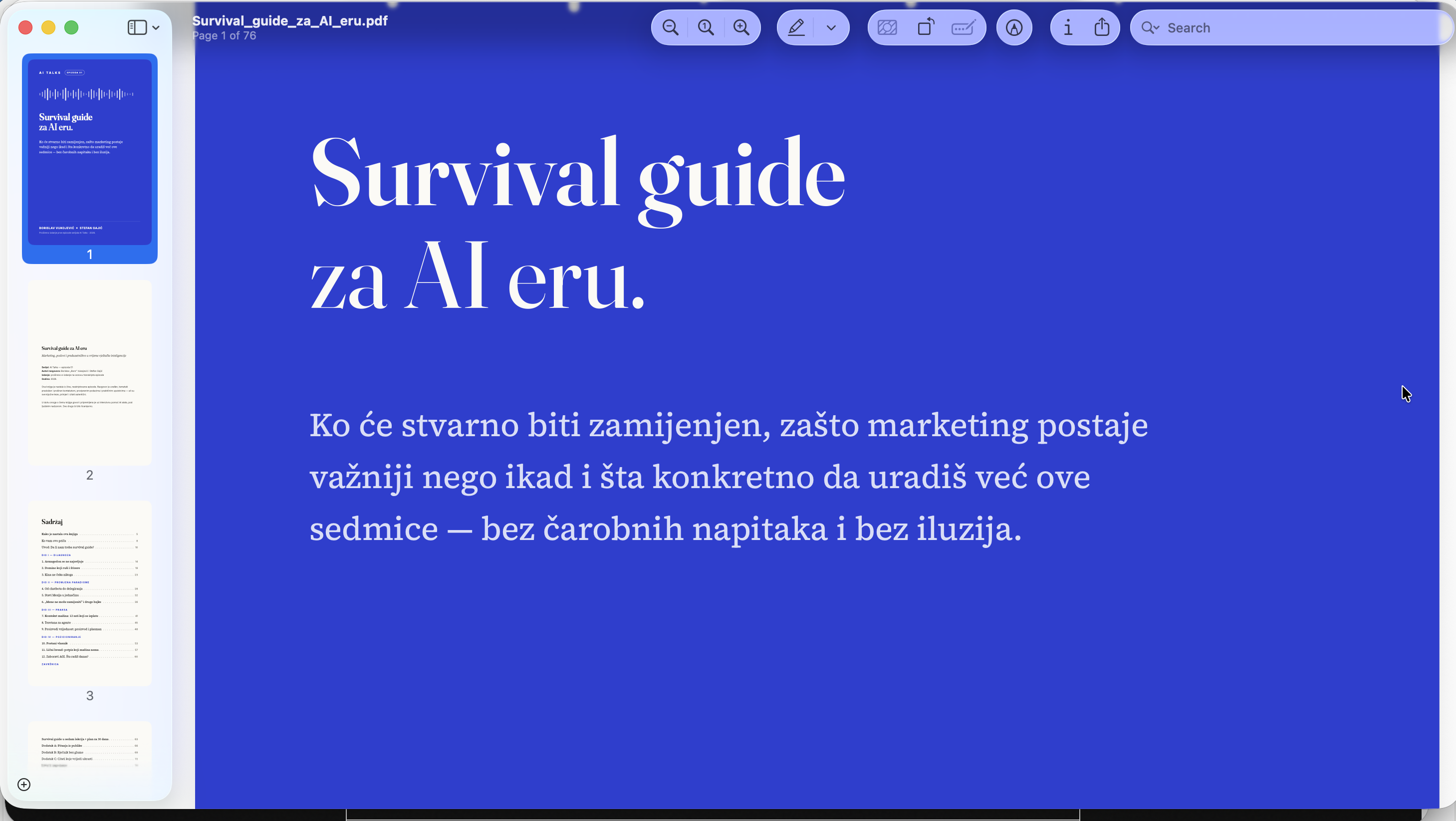 Ebook AI survival Guide